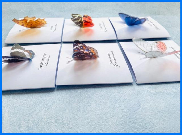 3d butterfly pop up cards gift collection