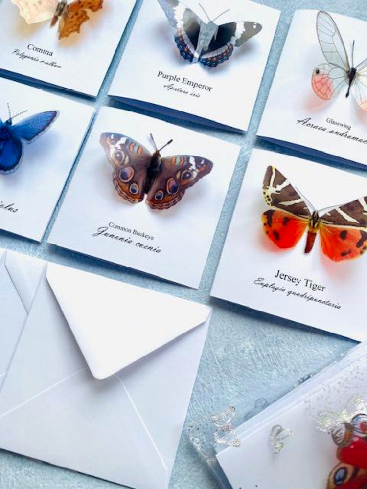 Jersey Tiger 3d butterfly pop up cards