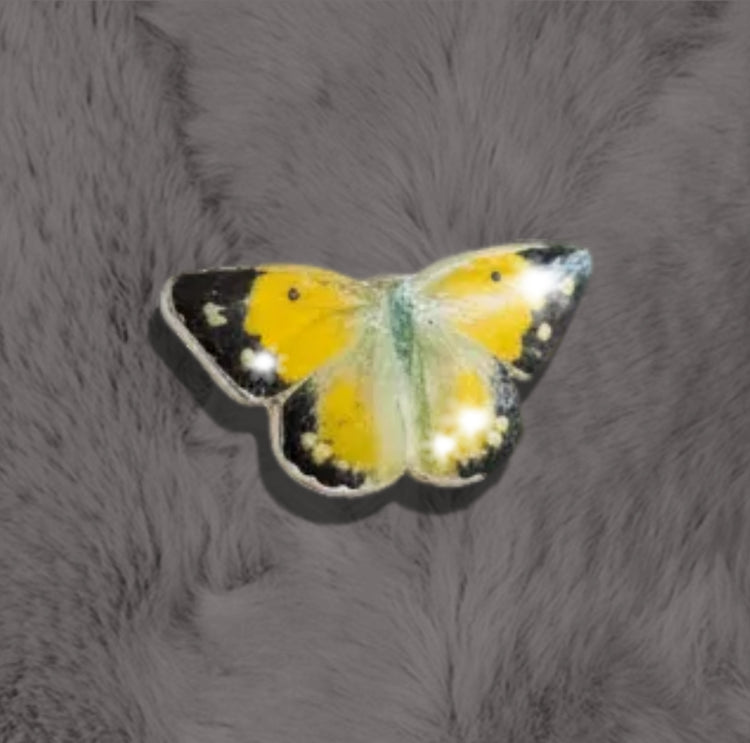 Clouded Yellow Butterfly enamel Pin. British butterflies Enamel pin lapel brooch