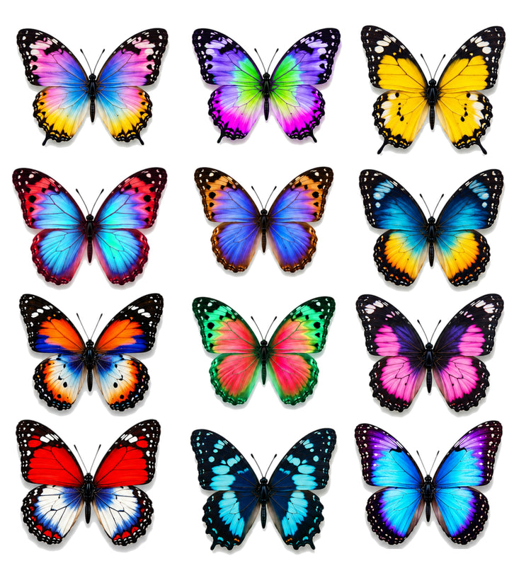 set of 12 bright butterfly decor, handmade