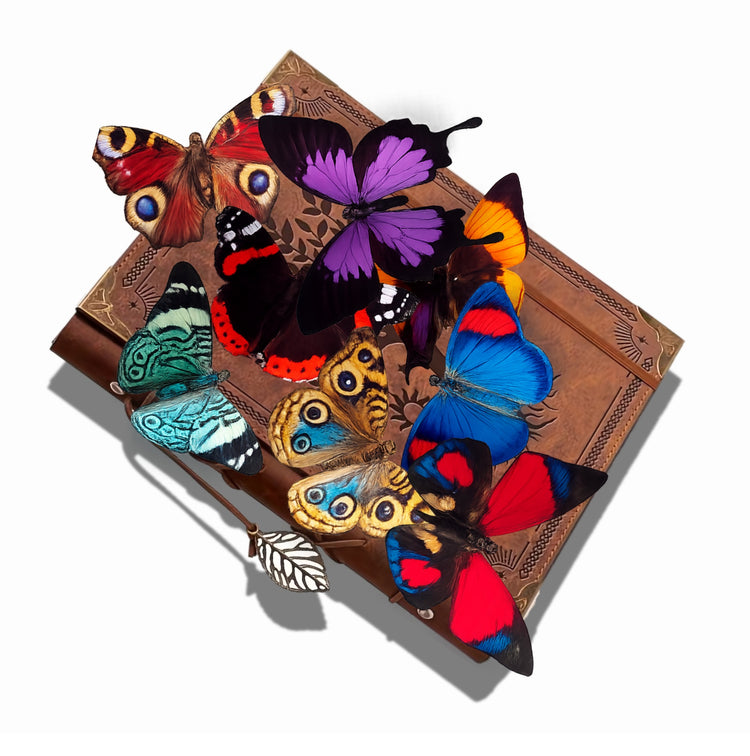 bright paper butterflies for crafts