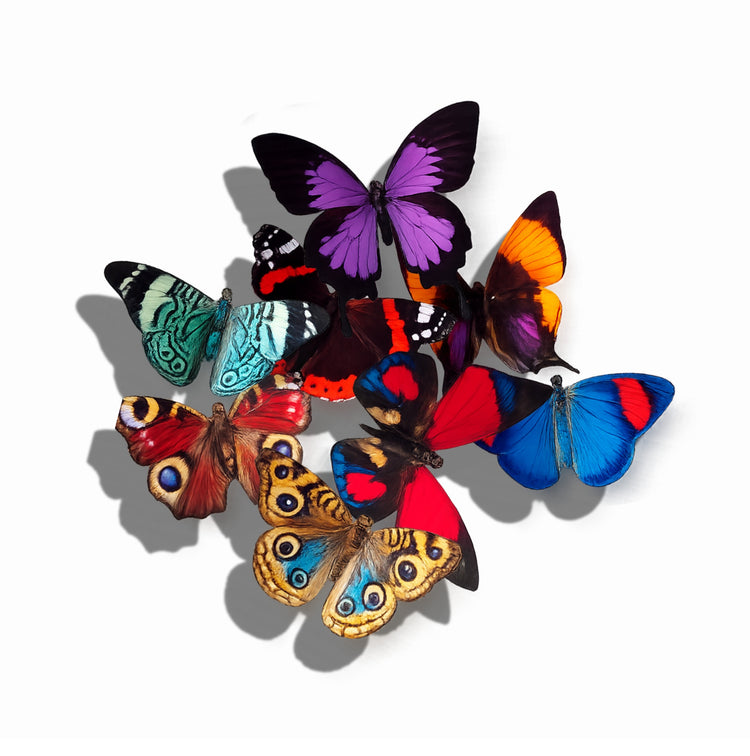 countryside butterfly decor