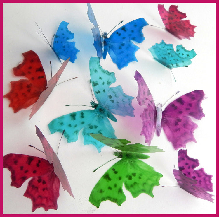 Altered images of the Comma butterfly.Handcrafted and designed by Flutterframes,butterfly decor. 3d butterfly decoration, Unique