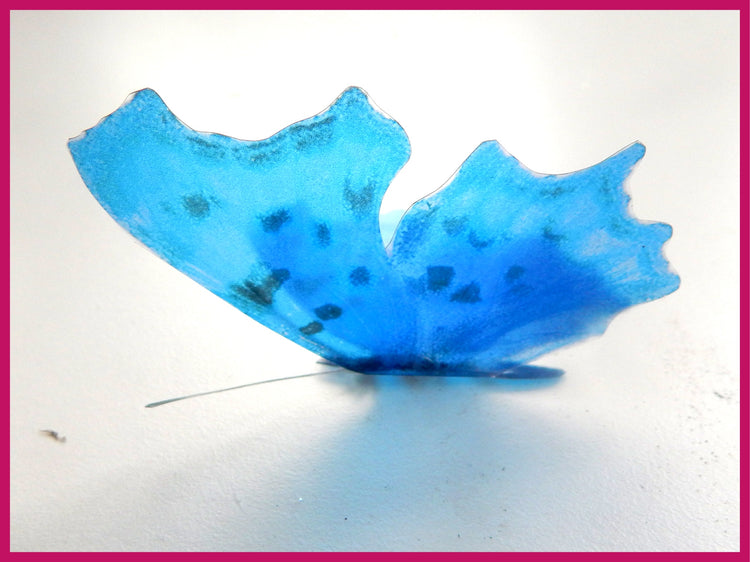 Altered images of the Comma butterfly.Handcrafted and designed by Flutterframes,butterfly decor. 3d butterfly decoration, Unique