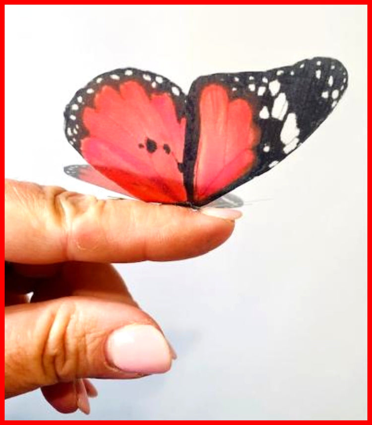 3d Red Butterflies,Lesser Wanderer,luxury butterfly wall art, home Decor Room Stickers Red 3D, butterflies wall decal,Wall Decal Wedding