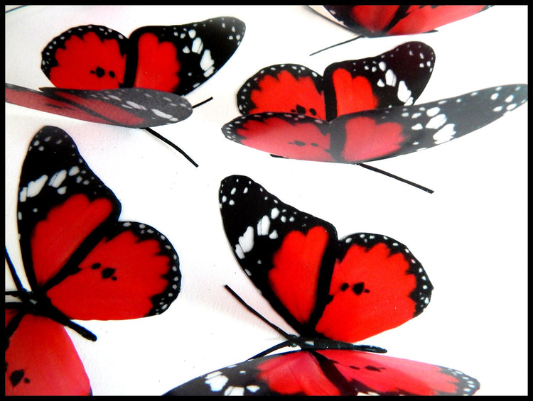 3d Red Butterflies,Lesser Wanderer,luxury butterfly wall art, home Decor Room Stickers Red 3D, butterflies wall decal,Wall Decal Wedding
