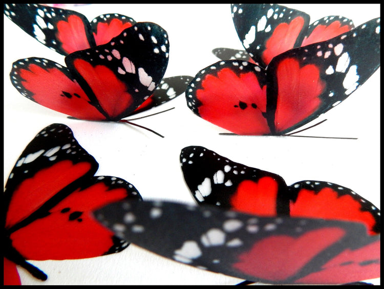 3d Red Butterflies,Lesser Wanderer,luxury butterfly wall art, home Decor Room Stickers Red 3D, butterflies wall decal,Wall Decal Wedding
