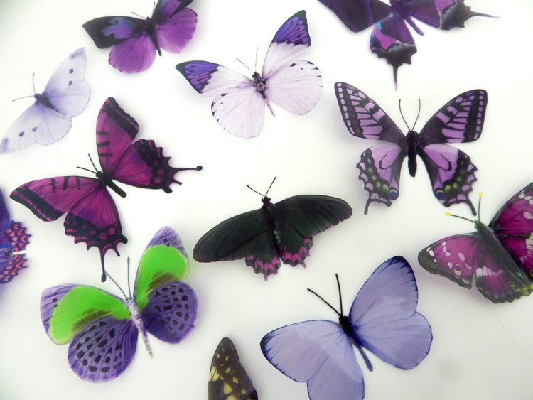 Purple butterflies.12 pieces mix wall butterflies,Faux butterflies.Natural butterfly decor. Wedding Decorations. Scrap booking, card making.