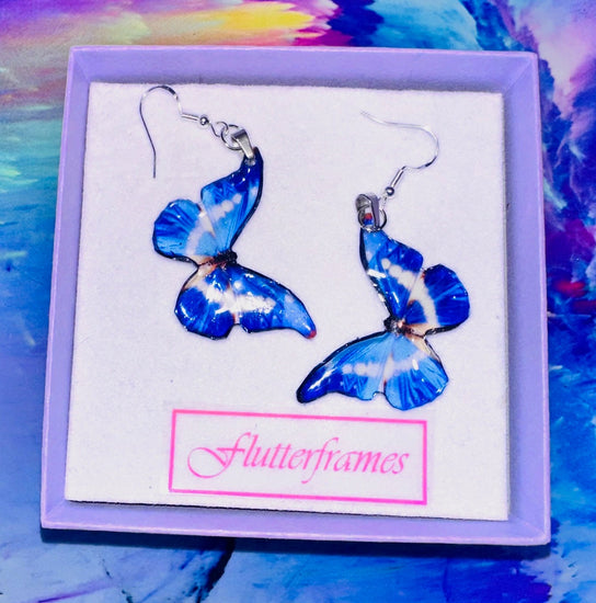 Blue butterfly earrings