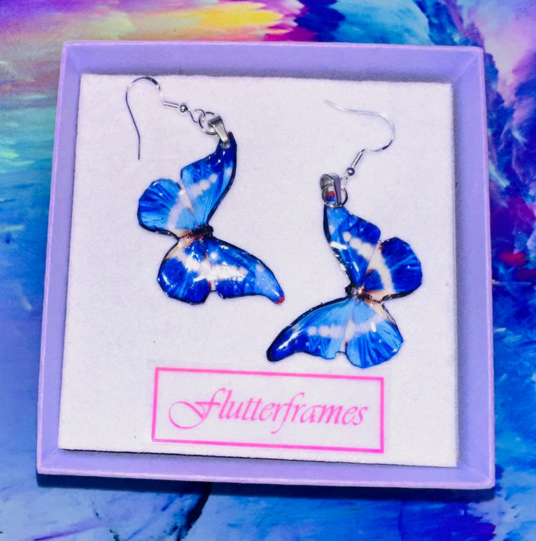 Blue butterfly earrings