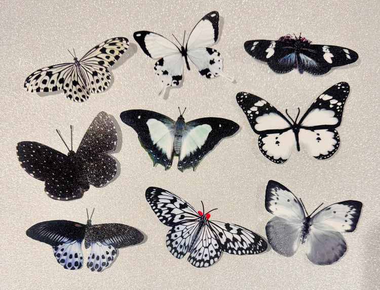 sparkly butterflies. Black and white decor. hand crafted