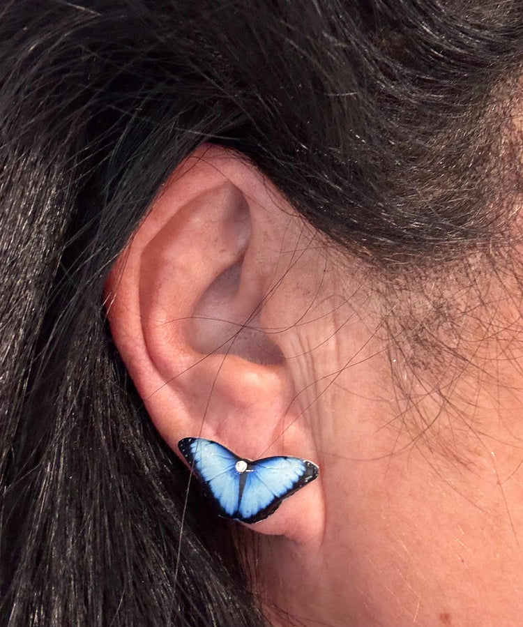 Blue Butterfly Stud Earrings,Blue Morpho butterfly earrings
