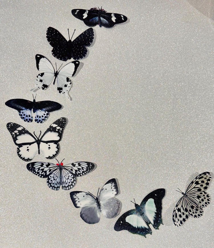 9 Black and white sparkly butterflies. Glittery wall decoration.Glitzy wedding decor. Lounge wall. Black and white decor. hand crafted