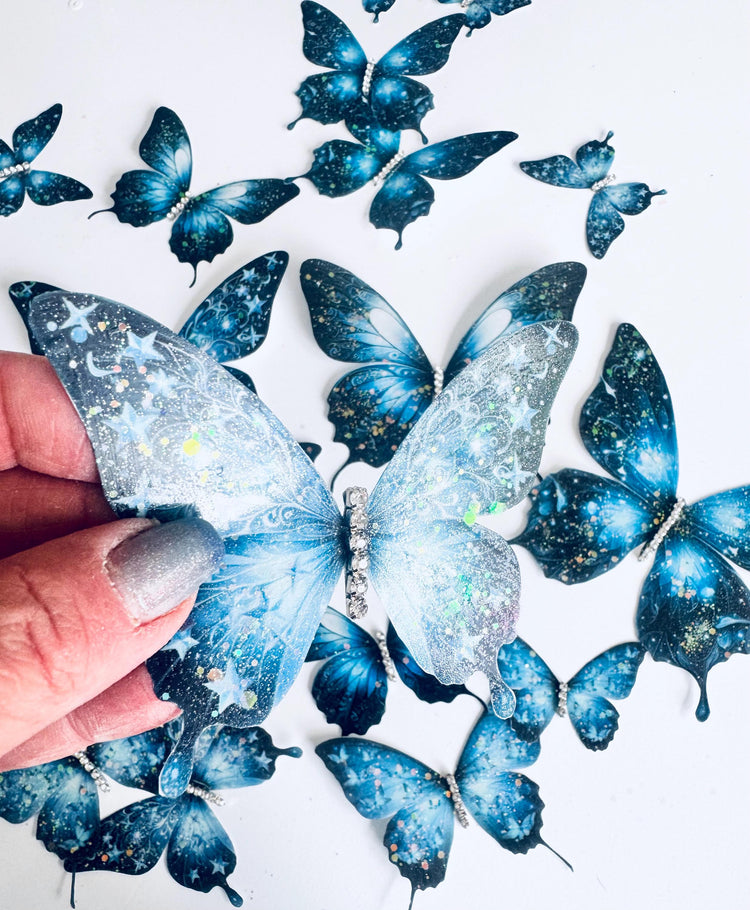 midnight blue butterfly display