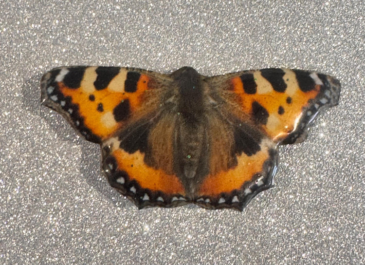 Tortoiseshell butterfly set of 3 British butterfly magnets