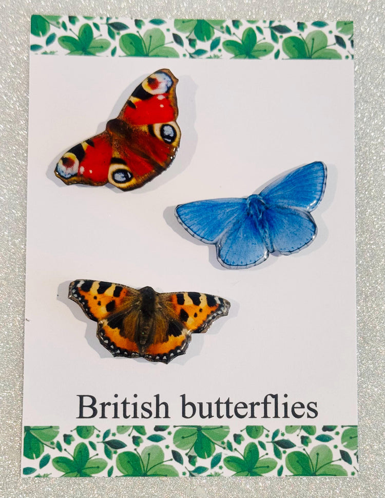 butterfly magnets Holly Blue, peacock, tortoiseshell
