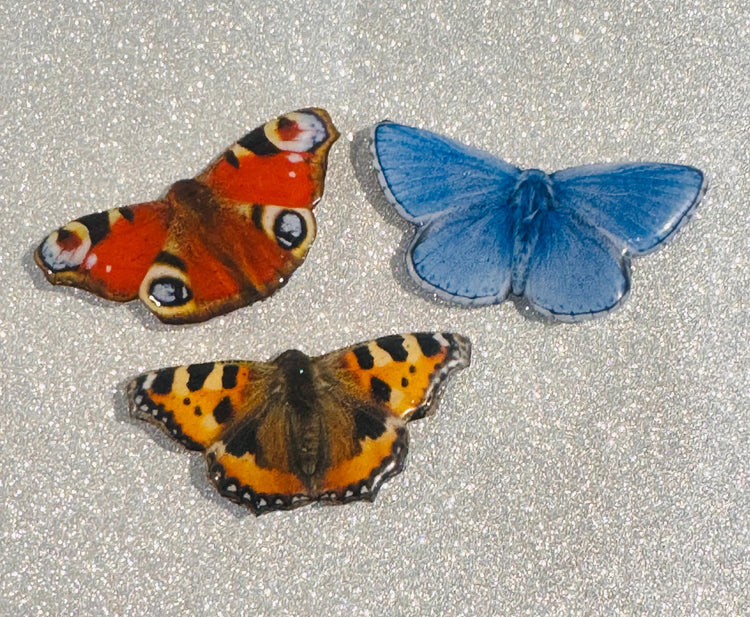 set of 3 British butterfly magnets