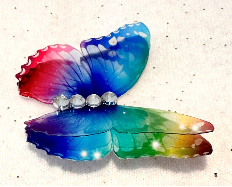 Beautiful multi-coloured iridescent double butterfly