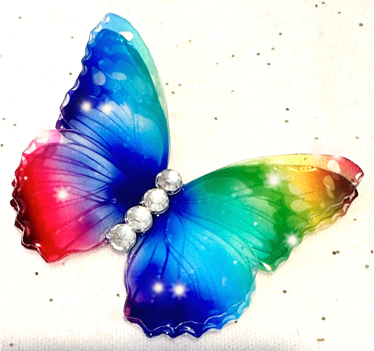 Beautiful multi-coloured iridescent butterfly
