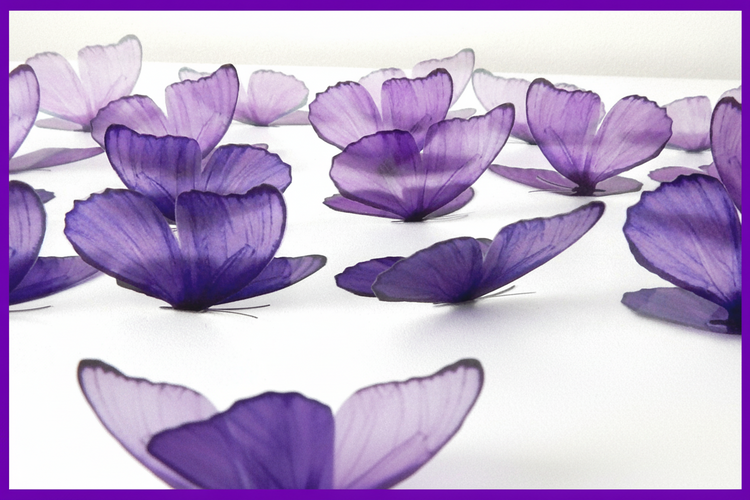 pretty lilac butterfly set