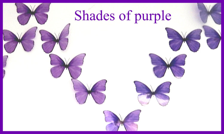 butterfly gay celebrations