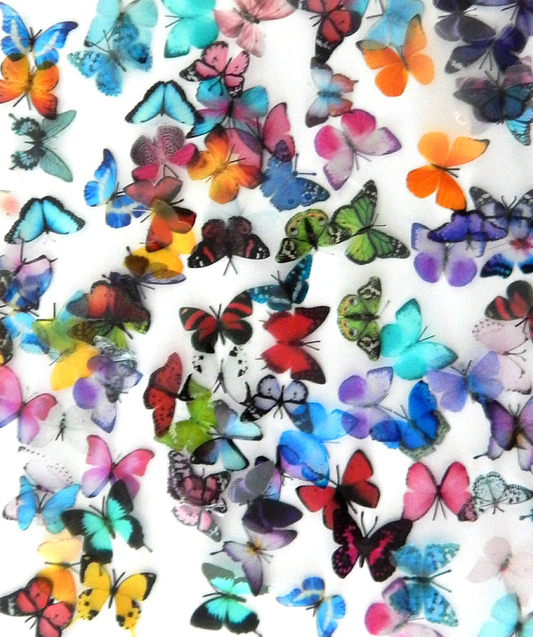 Miniature Butterflies for craft projects,decoration,embellishments,butterfly 3d stickers,miniature,dolls house,scrapbooking,tiny butterflies