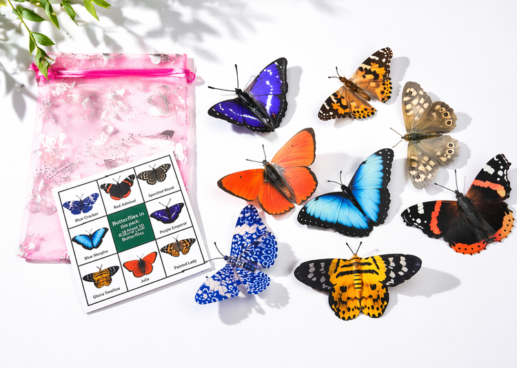 natural 3d butterfly decor handmade