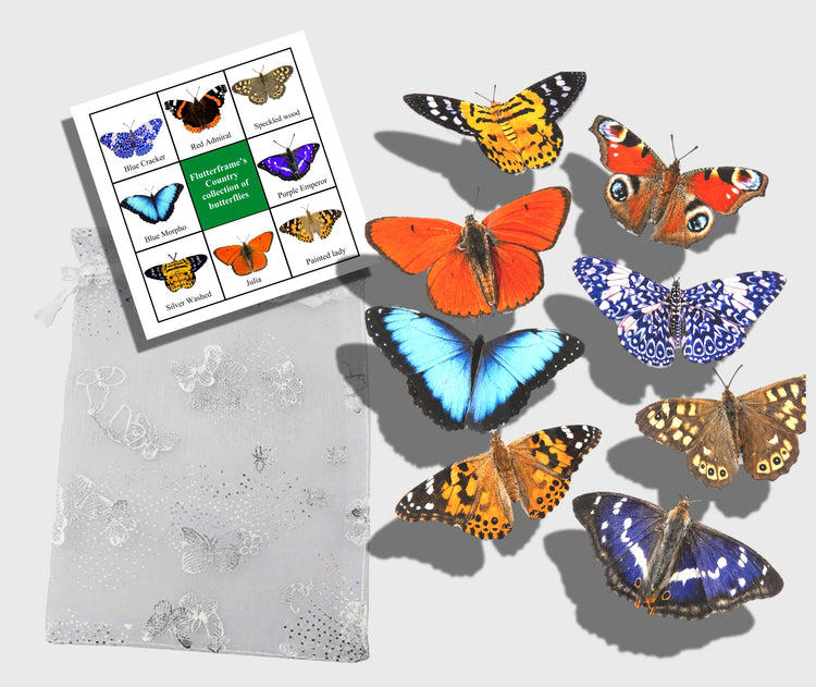 butterfly 3d stickers handmade by flutterframes