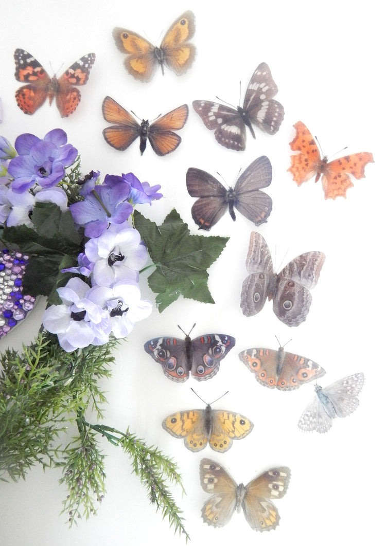 brown butterflies for wedding