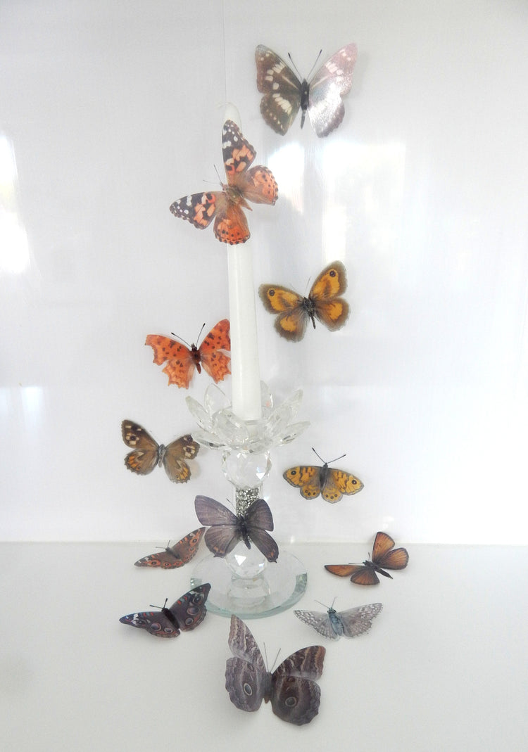 brown natural faux butterflies