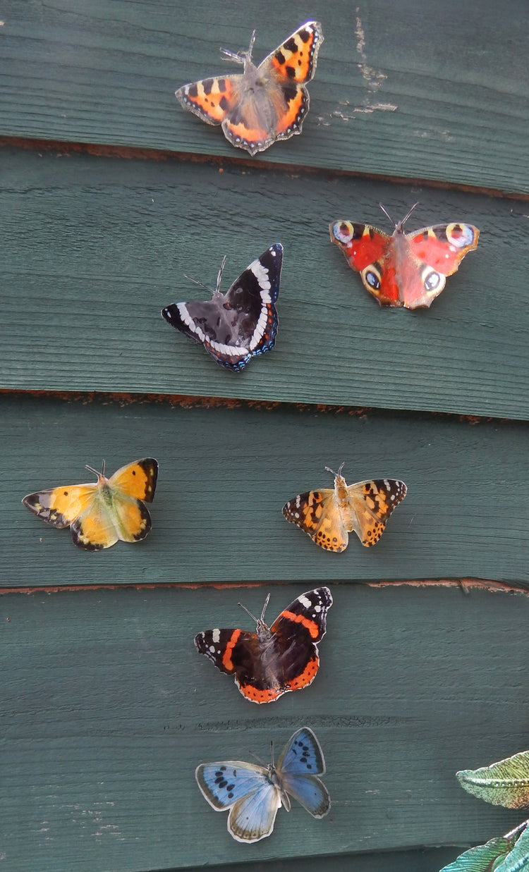 waterproof British butterflies