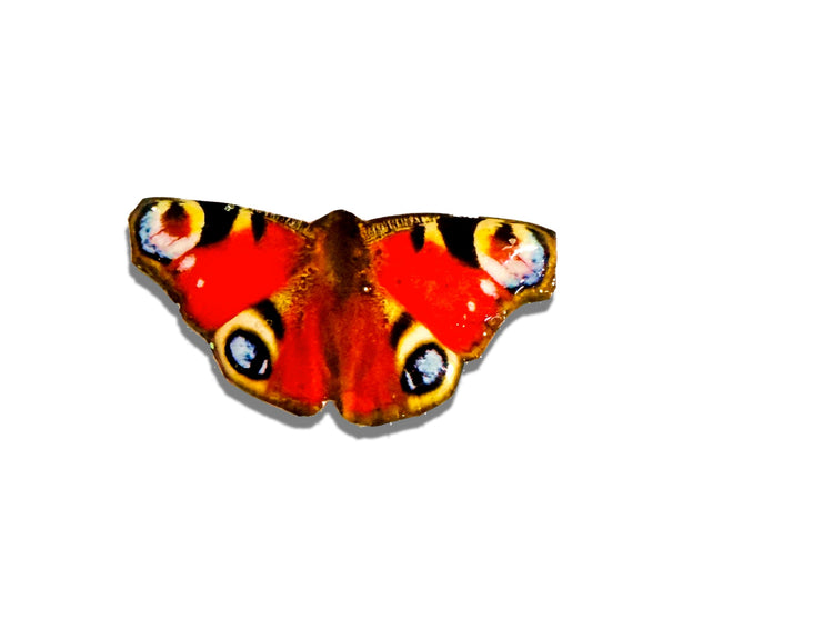 Peacock butterfly pin brooch
