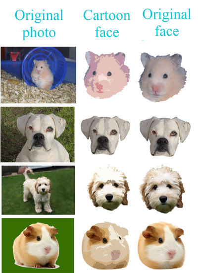 Custom Pet Face Photo choices