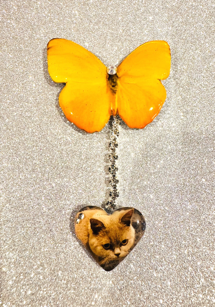 Personalised photo cat butterfly pin