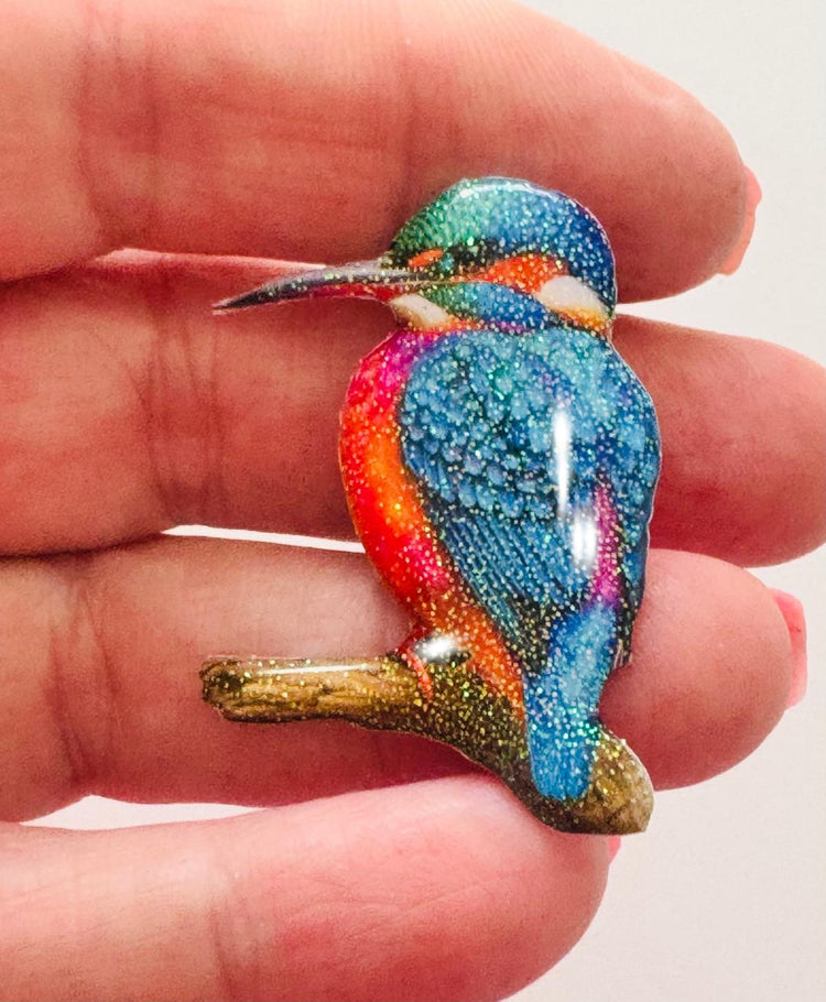 Kingfisher Bird enamel pin, pretty Kingfisher. Exclusive to Flutterframes.