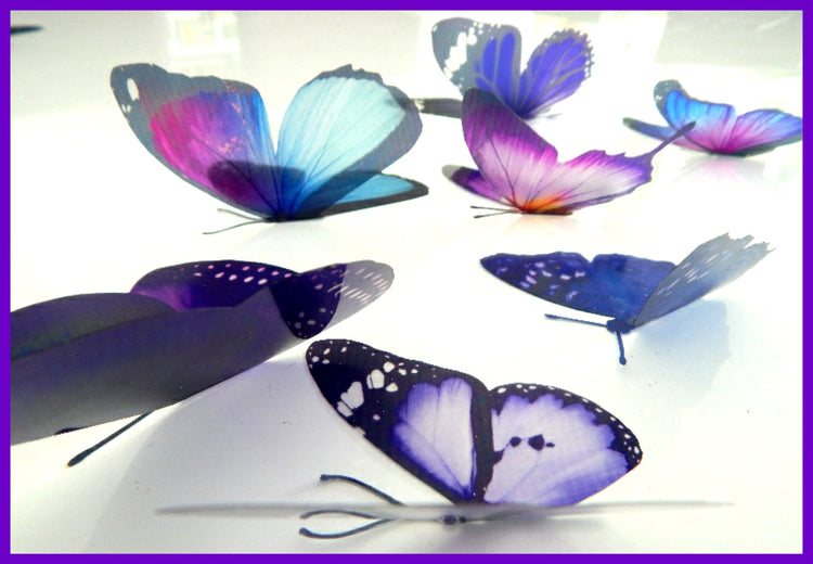 Bespoke purple butterflies from the purple collection,natural,reproduction wall sticker butterflies,caravan indoor decor