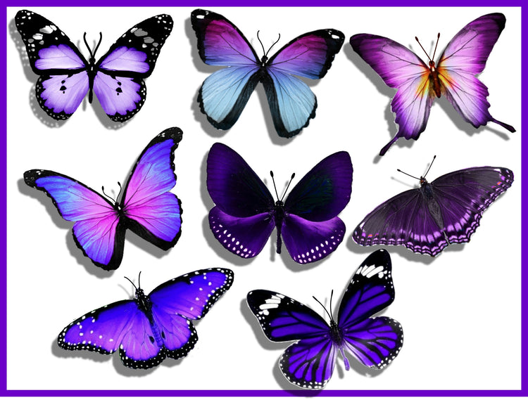 Bespoke purple butterflies from the purple collection,natural,reproduction wall sticker butterflies,caravan indoor decor