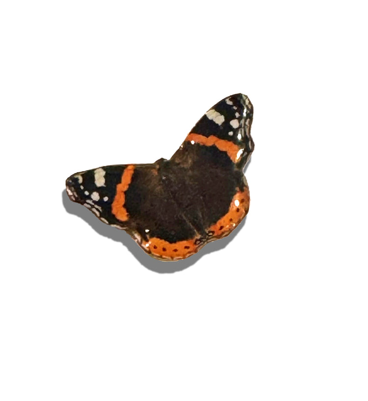 Red Admiral butterfly enamel pin