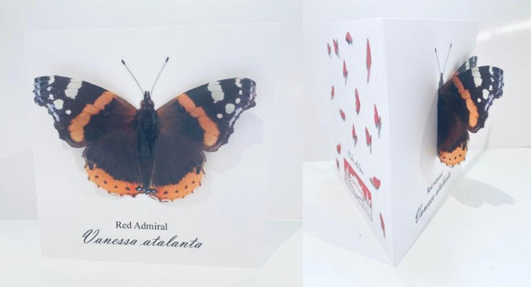 Red Admiral butterfly thank you personalised birthday card