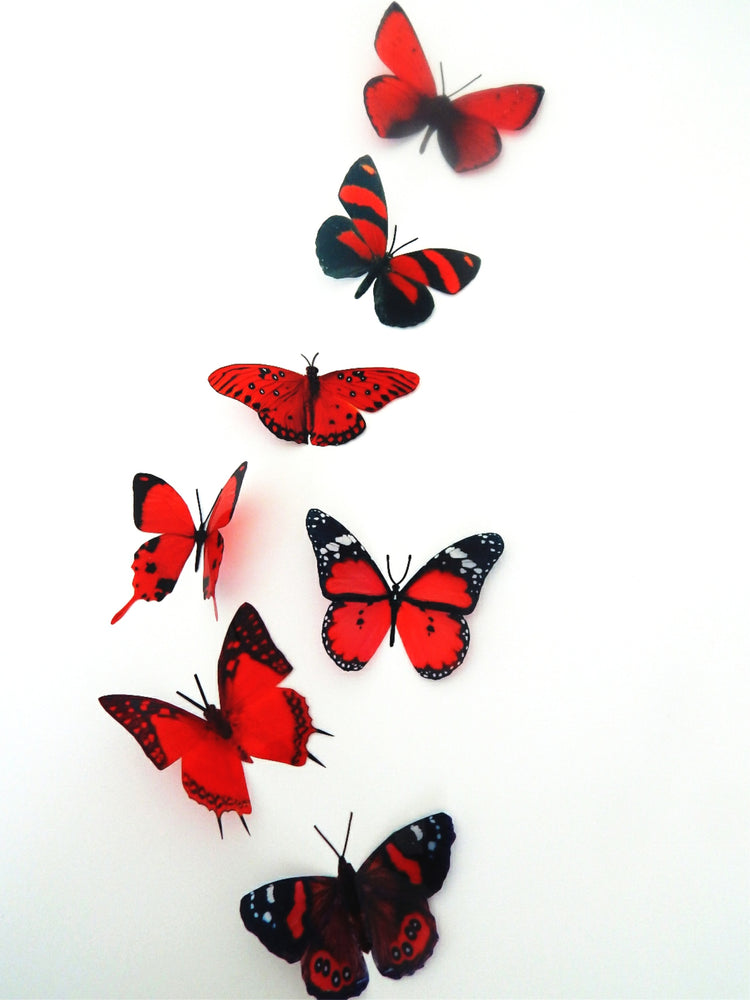 3d butterflies the Red collection, butterfly decor for the wall,conservatory, home,bedroom, lounge,window decorations,vase, red butterflies