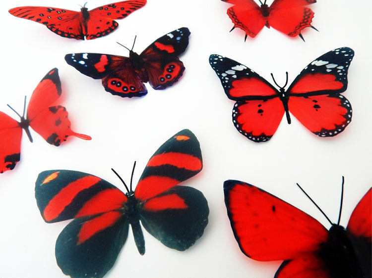 3d butterflies the Red collection, butterfly decor for the wall,conservatory, home,bedroom, lounge,window decorations,vase, red butterflies