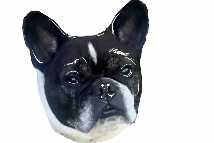 personalised pet photo