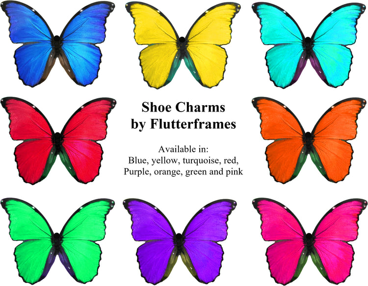Various colours Butterfly Croc clogs Clips