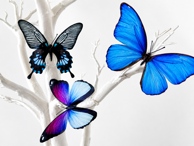 the blue butterfly collection tree wedding decor