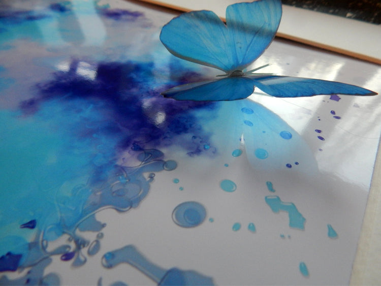 blue butterflies by flutterframes