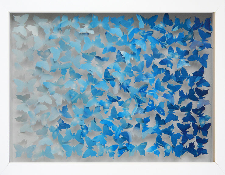 Blue 3d butterfly picture