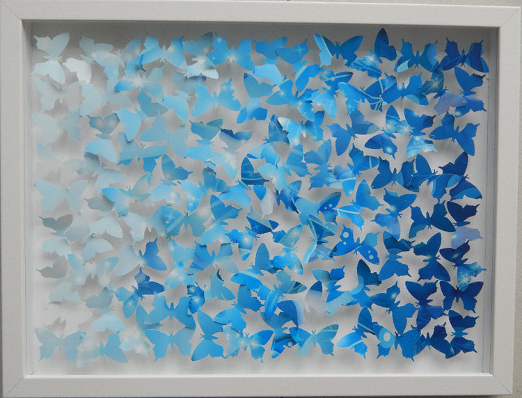 3d shades of blue 3d butterfly picture by Flutterframes