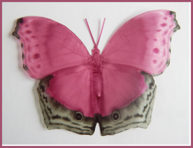 Pink natural 3d butterfly stickers,Natural decorations butterfly Royal Pink Didcot, Natural butterfly decor