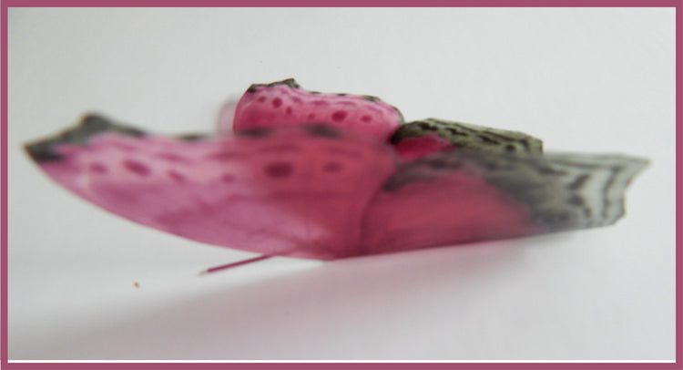 Pink natural 3d butterfly stickers,Natural decorations butterfly Royal Pink Didcot, Natural butterfly decor