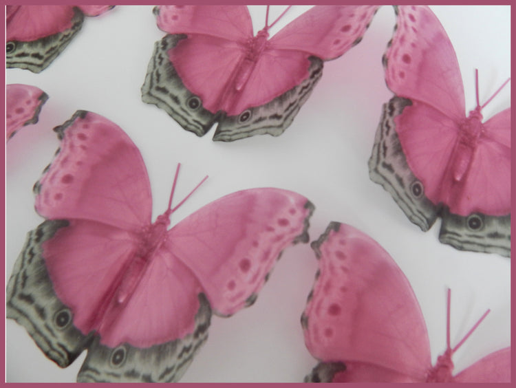 pretty pink butterflies